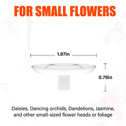 FloraFloat – Soporte flotante para arreglos florales creativos