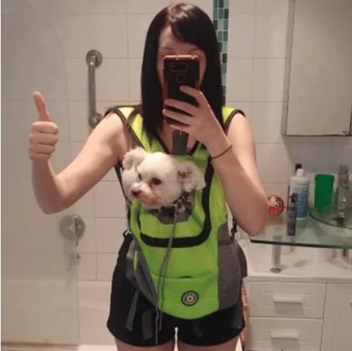 PawStride – Mochila de verano ventilada para mascotas