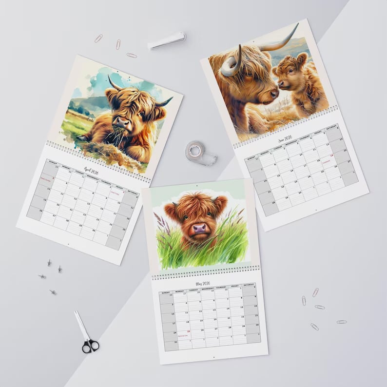 HighlandHugs – Calendario de pared de vaca de las Tierras Altas 2026