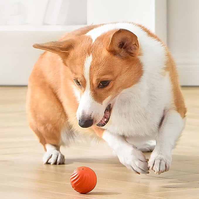 BarkBounce - Pelota interactiva para jugar con perros