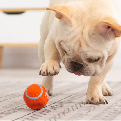 ToughPaw – Robuster Kausball für Hunde