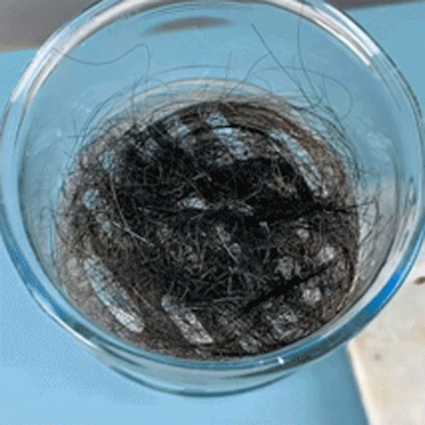 DrainGuard – Rohrreiniger und Geruchsentferner