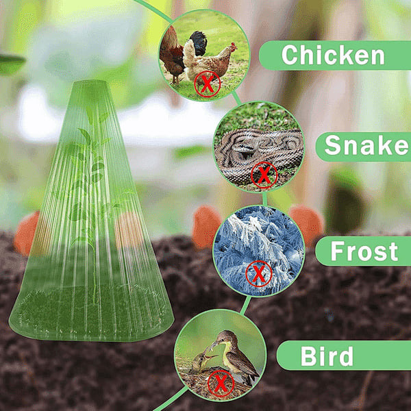 EcoBloom – Cubiertas Reutilizables para Plantas de Invernadero