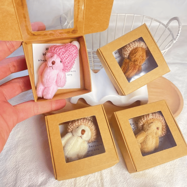 HugBear – Caja Sorpresa de Peluches de Osito de Peluche Mini