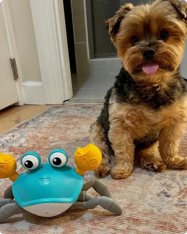 WagScuttle – Cangrejo de juguete interactivo con movimiento