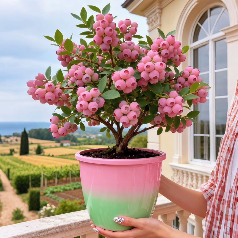 PinkDelight Berries – Semillas de Jardín Premium