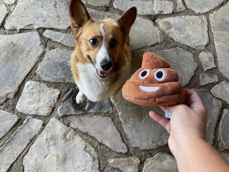 SqueezeBoo – Juguete de Broma de Peluche de Caca
