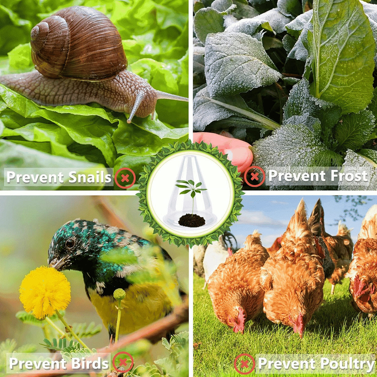 EcoBloom – Cubiertas Reutilizables para Plantas de Invernadero