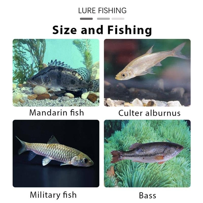 FishMagnet – Kit de señuelos de cabeza plomada de vinilo blando