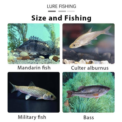 FishMagnet – Kit de señuelos de cabeza plomada de vinilo blando