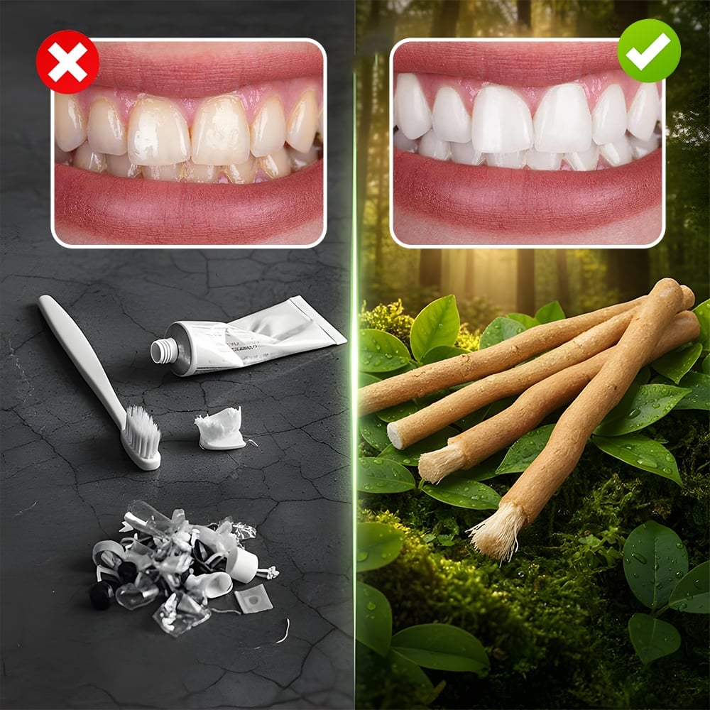 PureMiswak – Palos de cepillo de dientes naturales