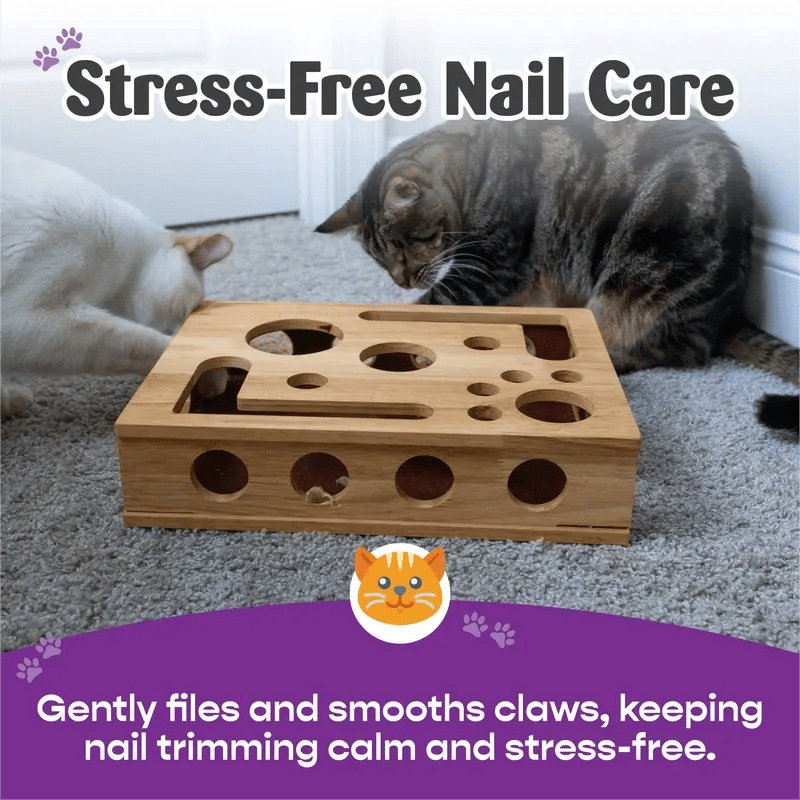 PawPuzzle – Caja de enriquecimiento para gatos con rascador y juego