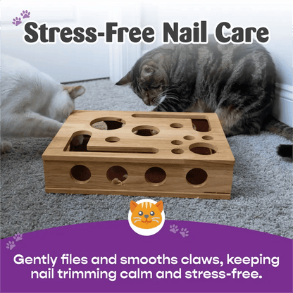 PawPuzzle – Caja de enriquecimiento para gatos con rascador y juego