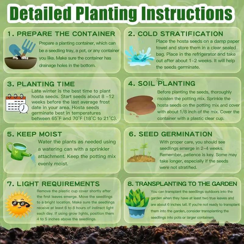 🍒 (Nueva Cosecha) Semillas de Cereza Dulce 🌿Pre-preparadas para Alta Germinación (99% de Germinación)
