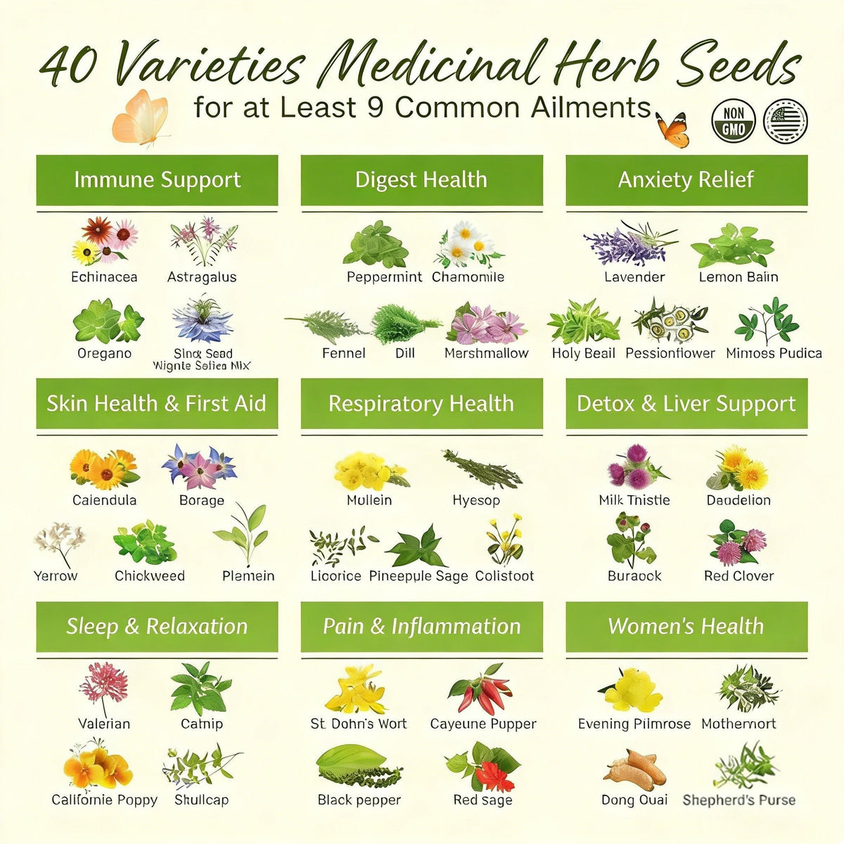 🌿El Cofre de Semillas del Boticario Ancestral: 40 Variedades de Semillas de Hierbas Medicinales 🌱