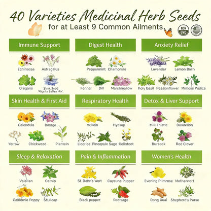 🌿El Cofre de Semillas del Boticario Ancestral: 40 Variedades de Semillas de Hierbas Medicinales 🌱