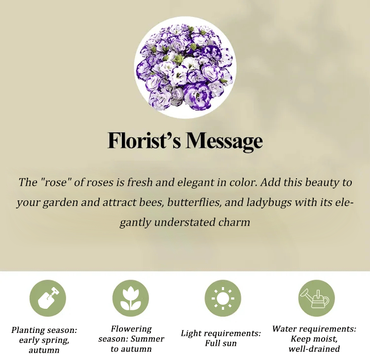 GardenMuse – Semillas de flores multicolores elegantes