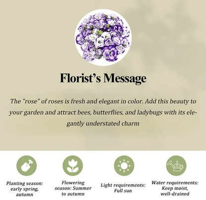 GardenMuse – Semillas de flores multicolores elegantes