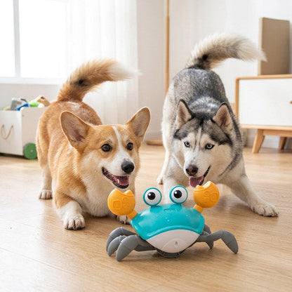 WagScuttle – Cangrejo de juguete interactivo con movimiento