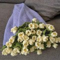 CozyBloom – DIY-Set für handgestrickte Rosendecke