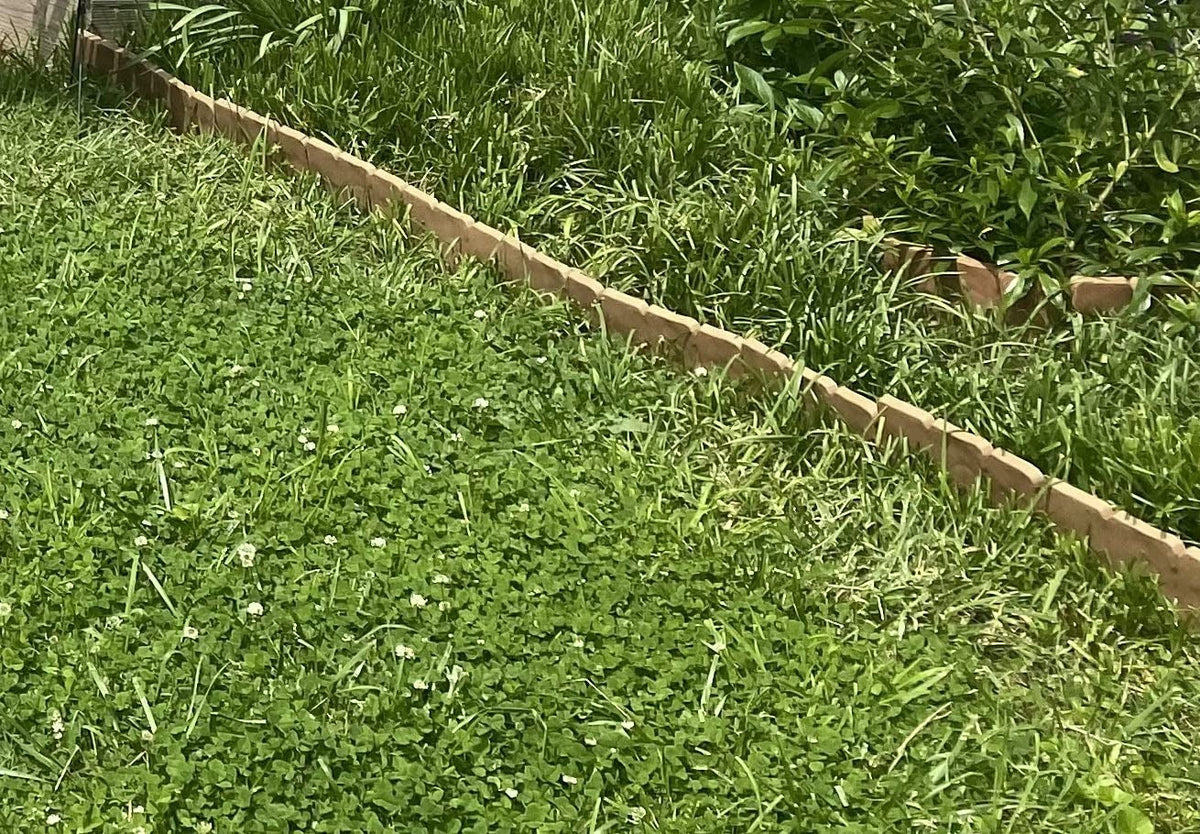 BloomBorder – Sistema de bordes estilo piedra