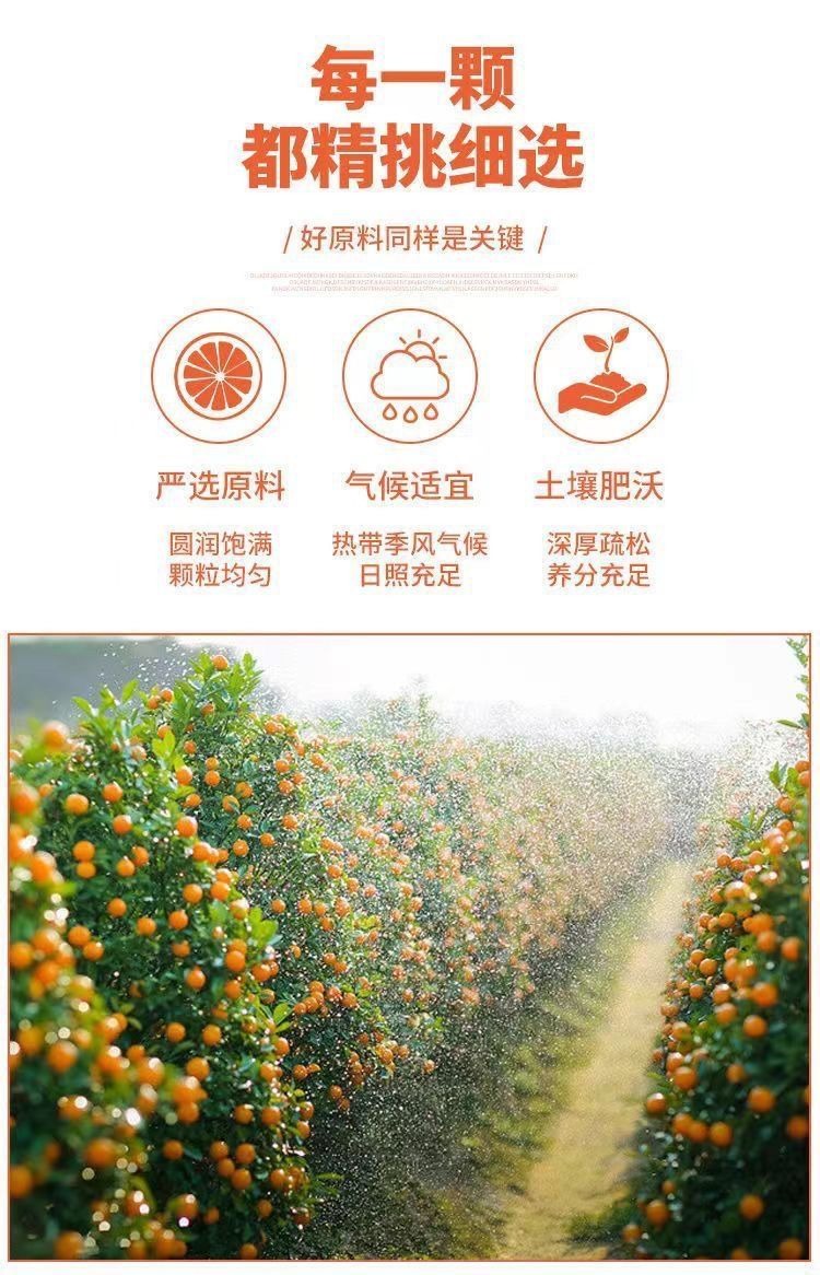 GoldenCitrus – Mermelada tradicional de kumquat y regaliz