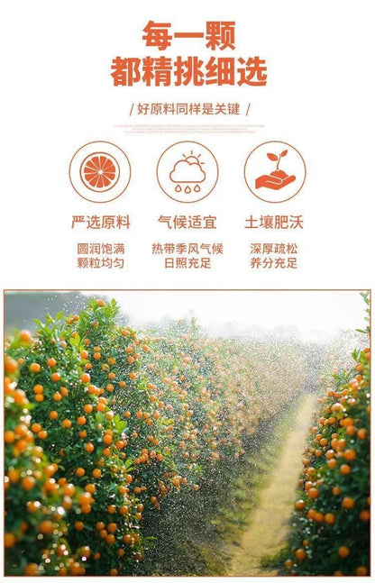 GoldenCitrus – Mermelada tradicional de kumquat y regaliz