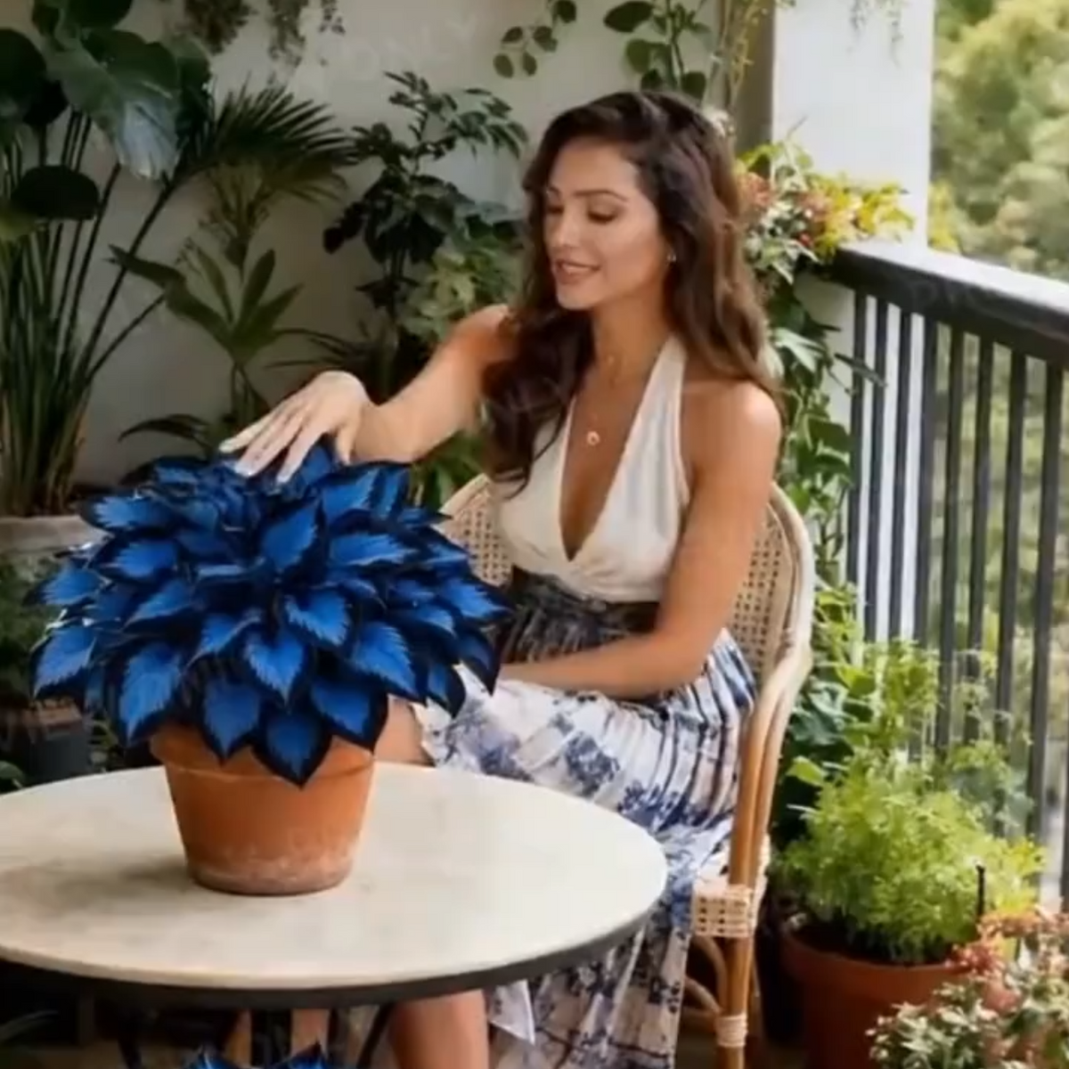 Paraíso de Hostas – Paquete de Semillas de Follaje Raro