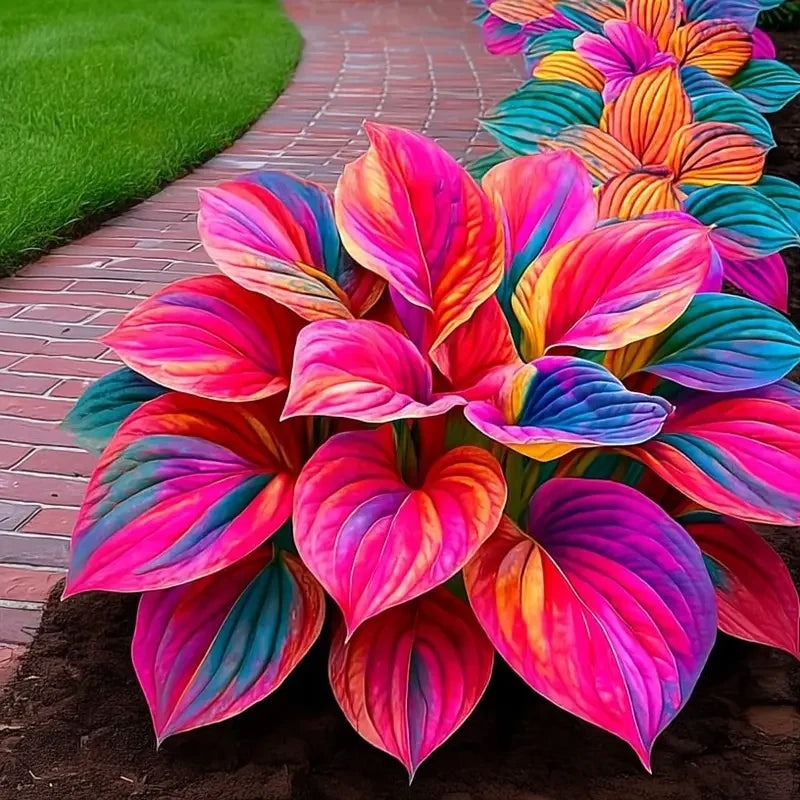 Paraíso de Hostas – Paquete de Semillas de Follaje Raro