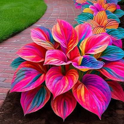 Paraíso de Hostas – Paquete de Semillas de Follaje Raro