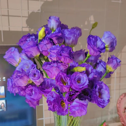 GardenMuse – Semillas de flores multicolores elegantes