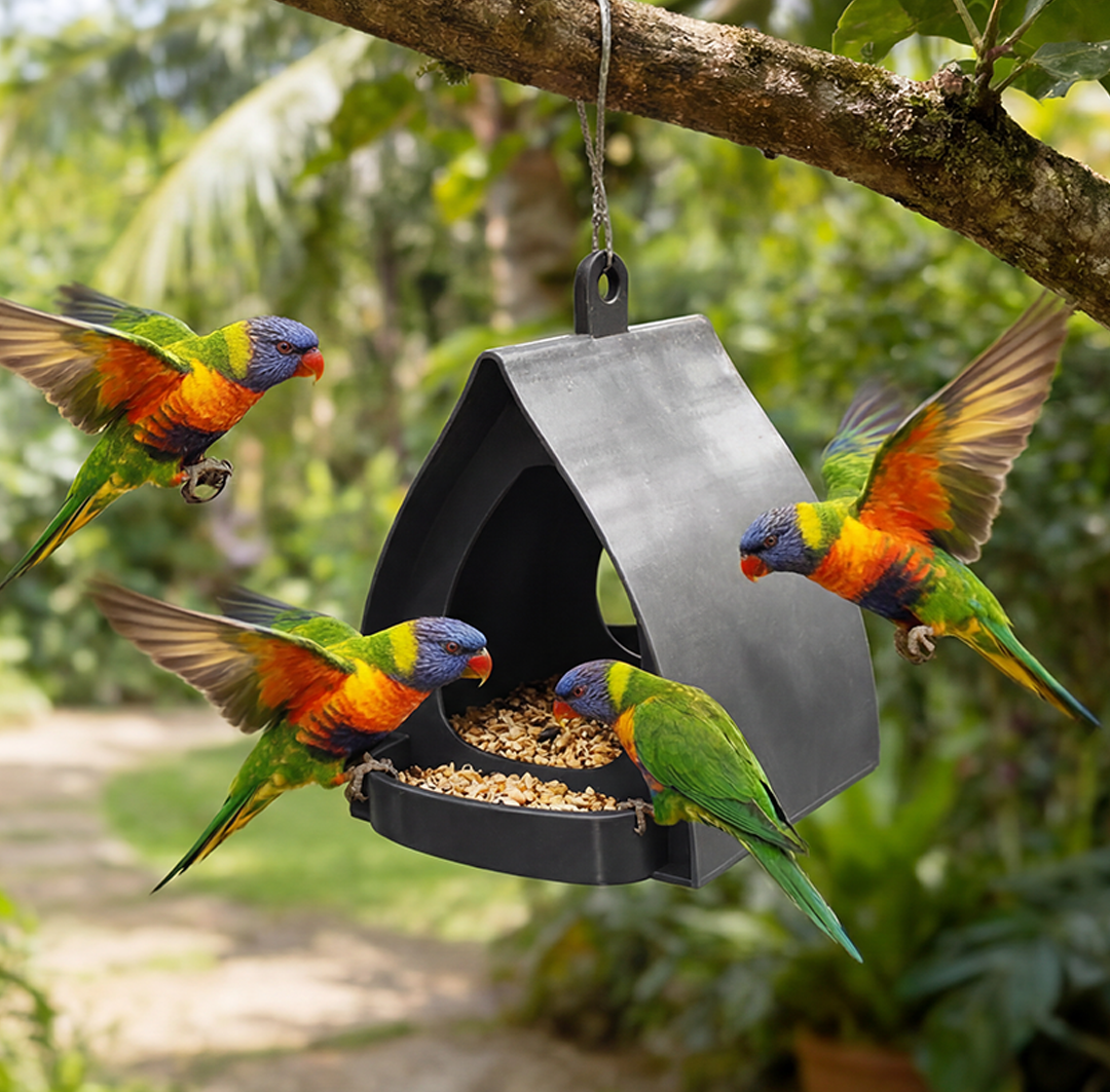 BirdBloom – Fenster-Vogelfutterstation