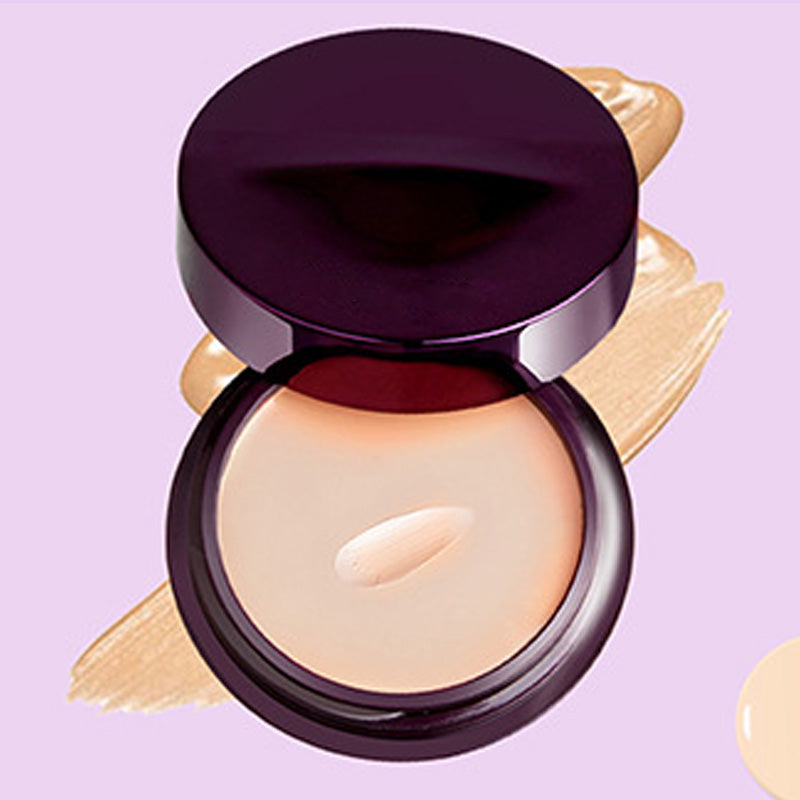 SkinPerfect – Set de brochas de corrector de cobertura total