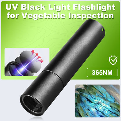 CleanScan – UV-Inspektionswerkzeug für Agrarerzeugnisse
