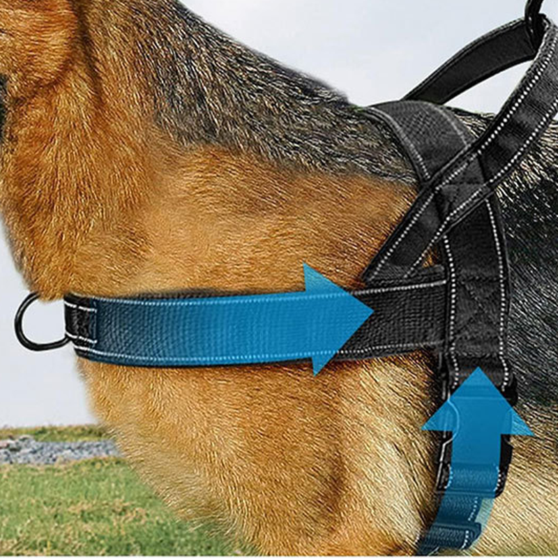 ForceGrip - Arnés Táctico para Perro con Asa de Control