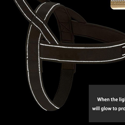 ForceGrip - Arnés Táctico para Perro con Asa de Control