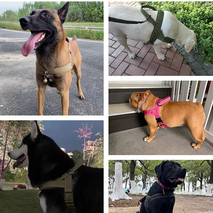 ForceGrip - Arnés Táctico para Perro con Asa de Control