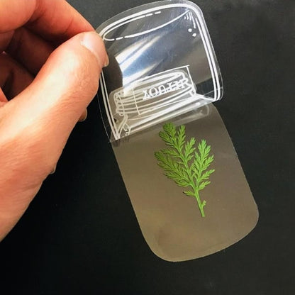 BloomLeaf – Marcapáginas transparentes con flores secas botánicas
